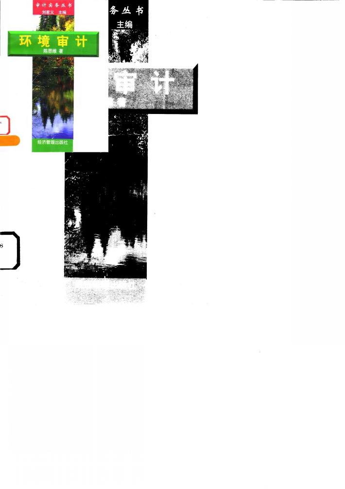 环境审计 封面