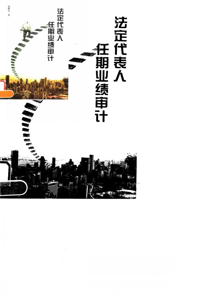 法定代表人任期业绩审计 封面