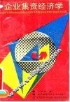 企业集资经济学 封面