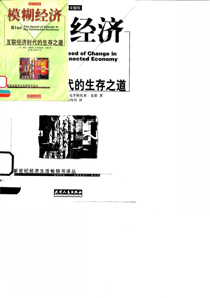 模糊经济  互联经济时代的生存之道 封面