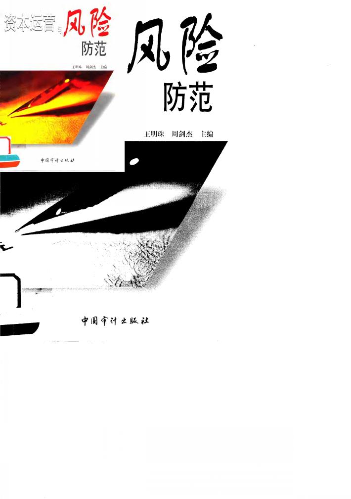 资本运营与风险防范 封面