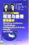 视觉与感受  营销美学 电子书封面