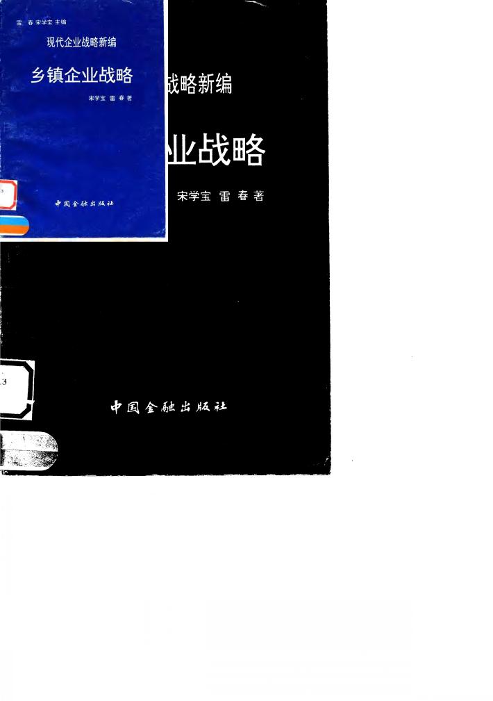 乡镇企业战略 封面