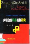 乡镇企业积累机制研究 封面