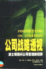 公司战略透视  波士顿顾问公司管理新视野 封面