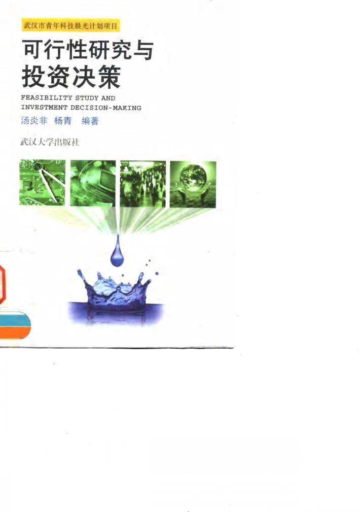 可行性研究与投资决策 封面