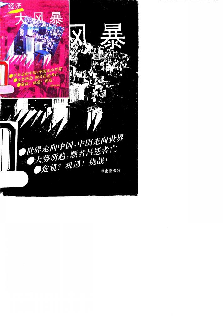 经济大风暴  关贸总协定对中国的大冲击 封面