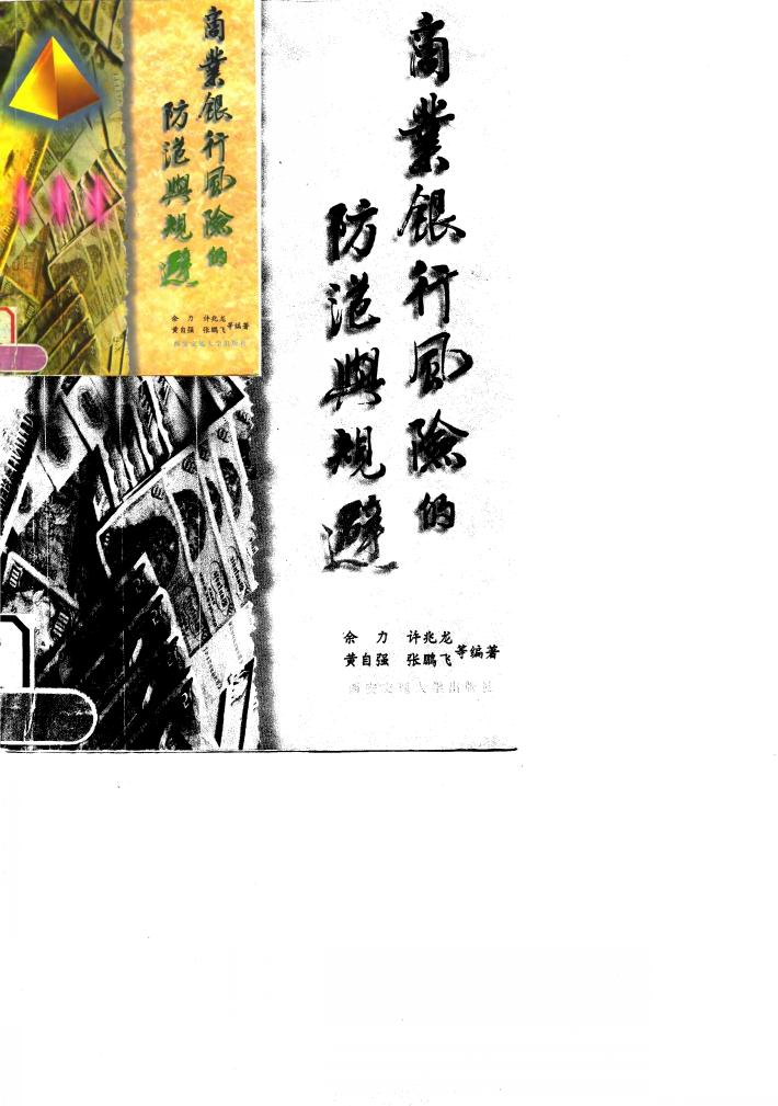 商业银行风险的防范与规避 封面