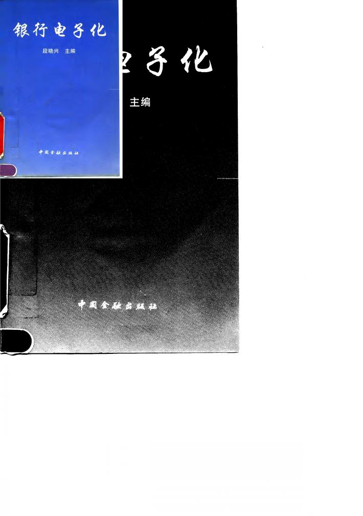 银行电子化 封面