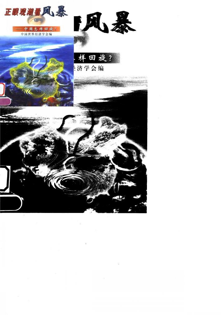 正眼观潮看风暴  中国怎样回旋? 封面