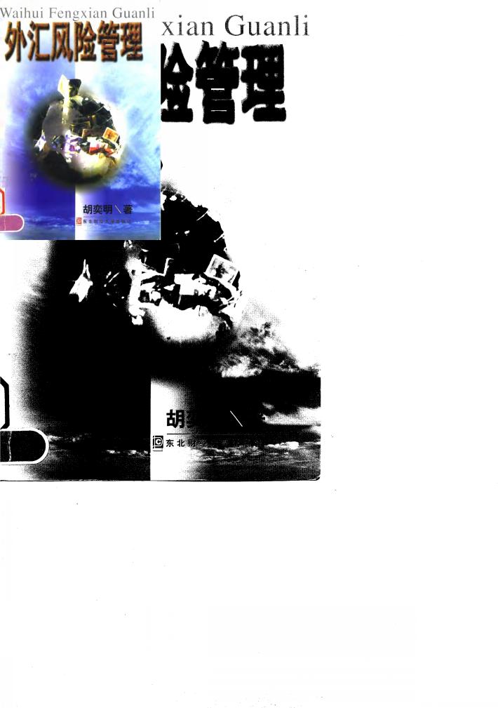 外汇风险管理 封面