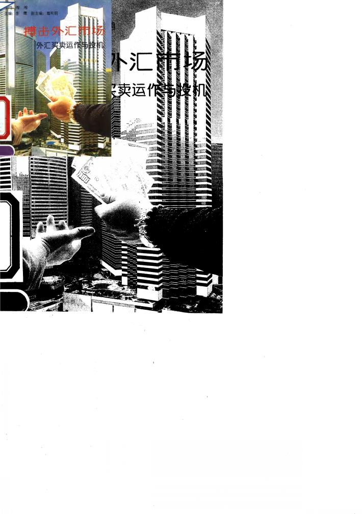 搏击外汇市场  外汇买卖运作与投机 封面