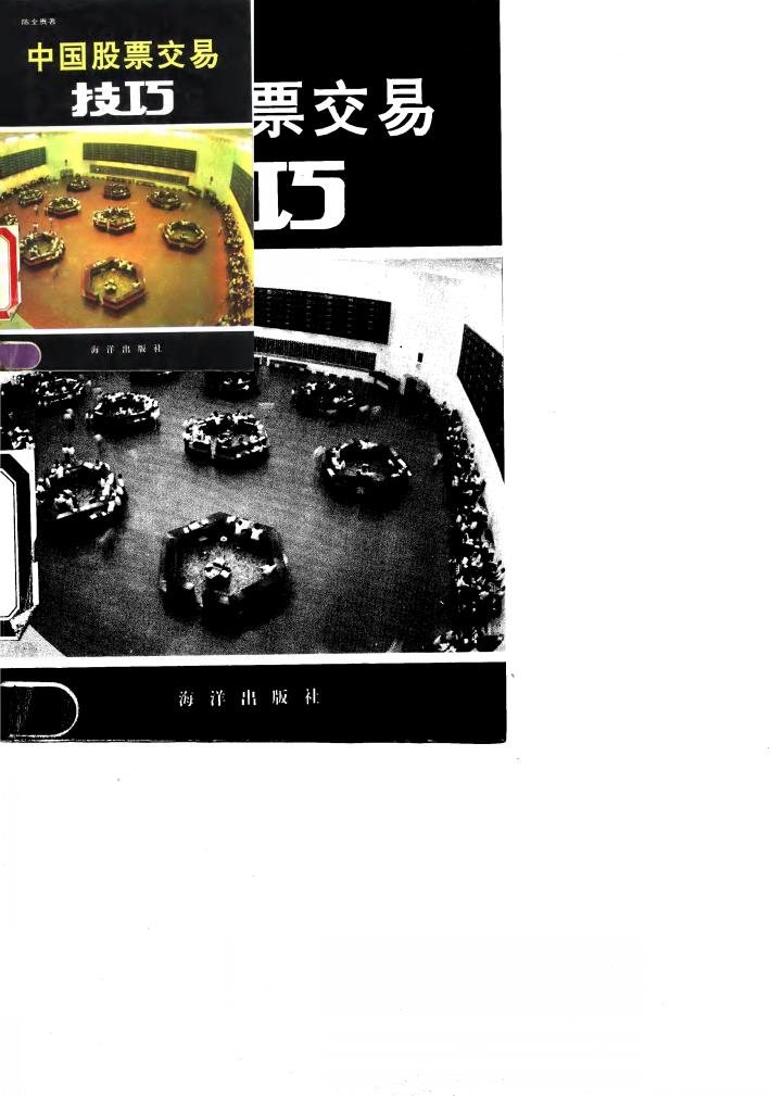 中国股票交易技巧 封面