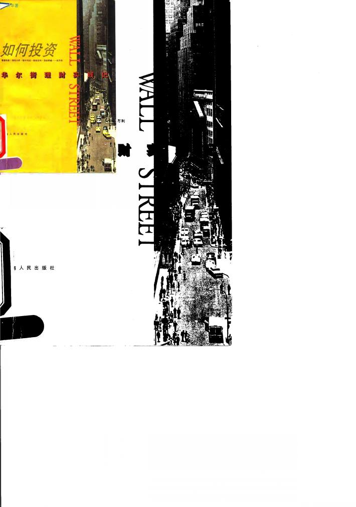 如何投资  华尔街理财实践记 封面
