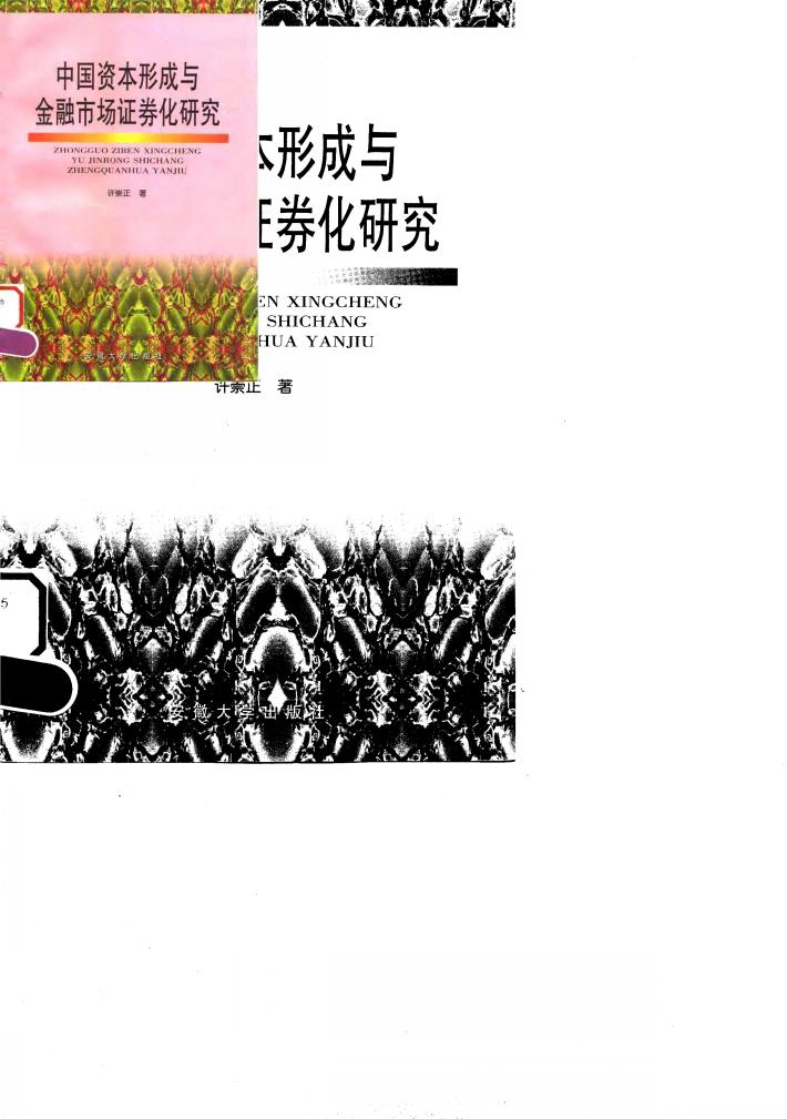 中国资本形成与金融市场证券化研究 封面