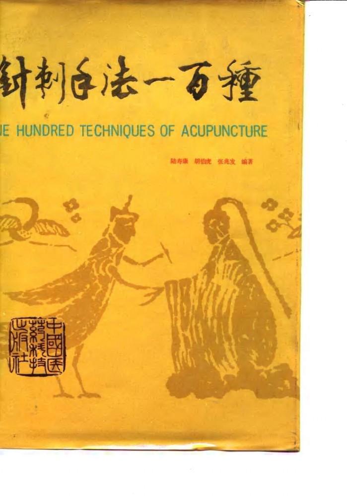 针刺手法100种 封面