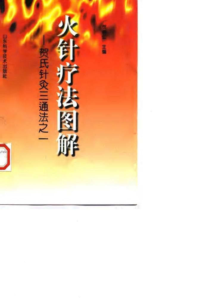 火针疗法图解  贺氏针灸三通法之一 封面
