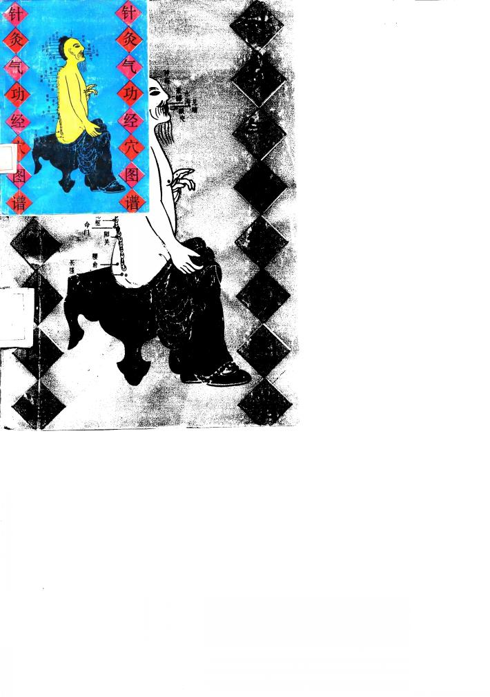 针灸气功经穴图谱  英汉对照 封面