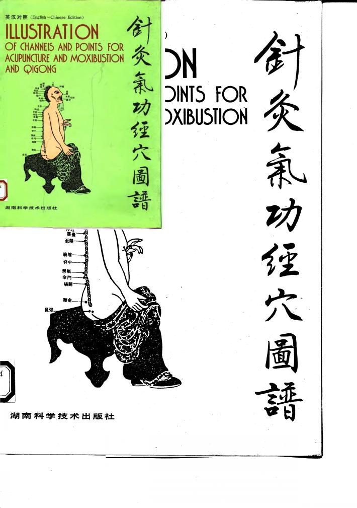 针灸气功经穴图谱  英汉对照 封面