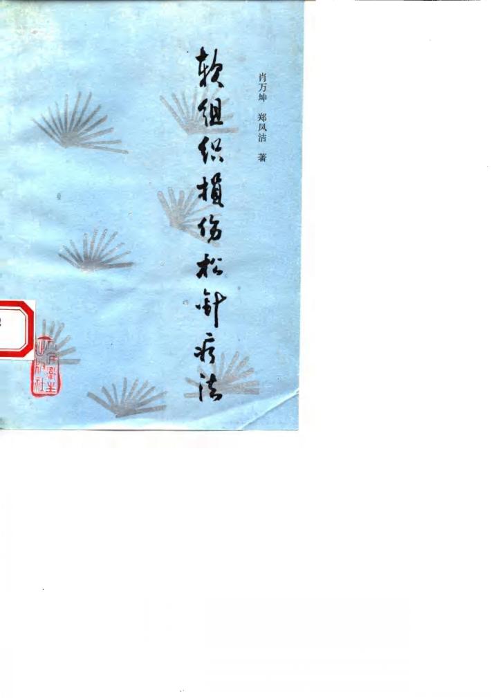 软组织损伤松针疗法 封面