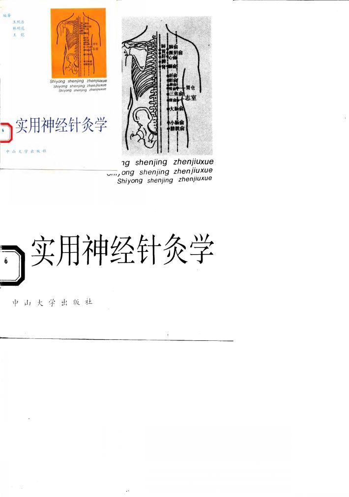 实用神经针灸学 封面