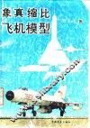 象真缩比飞机模型 封面