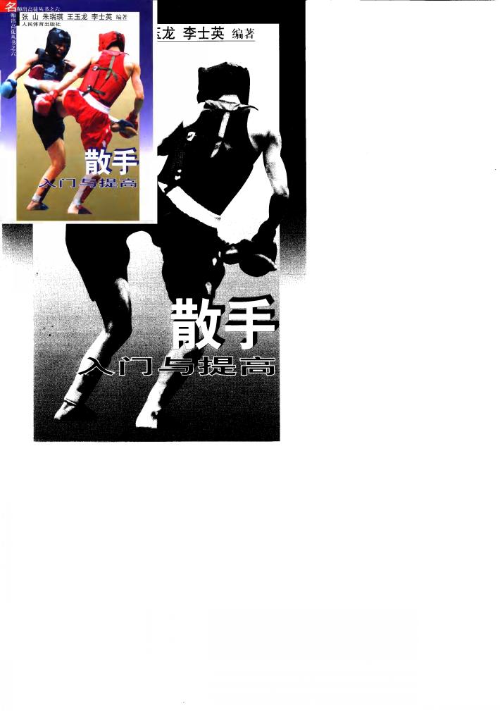 散手入门与提高 封面