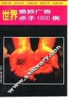 世界绝妙广告点子1000例 封面