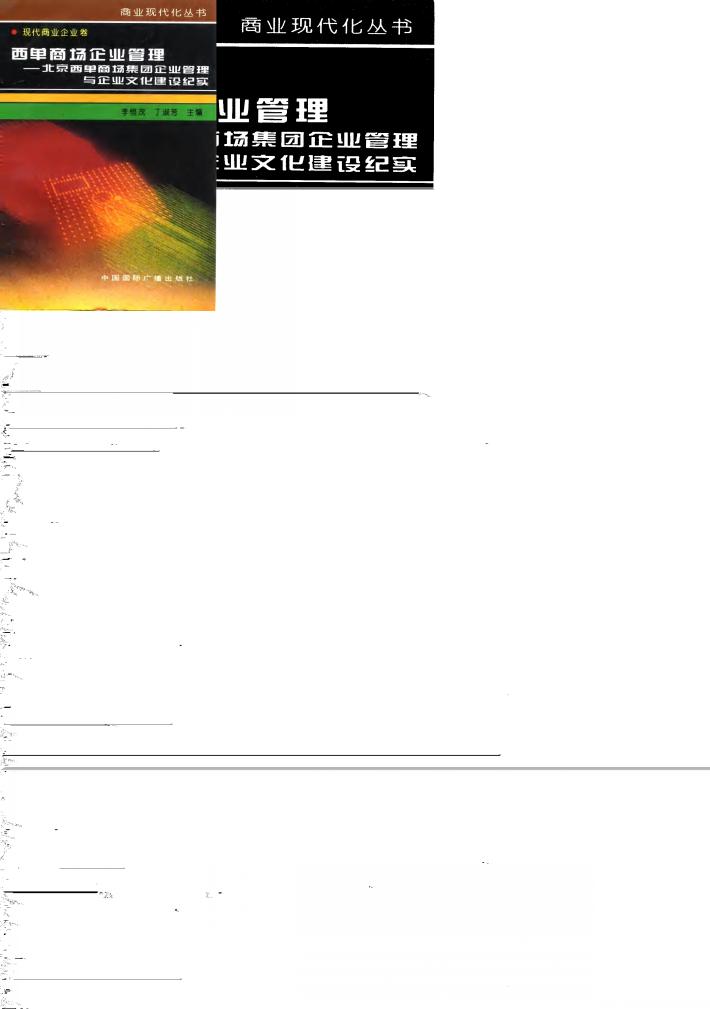 西单商场企业管理  北京西单商场集团企业管理与企业文化建设纪实 封面