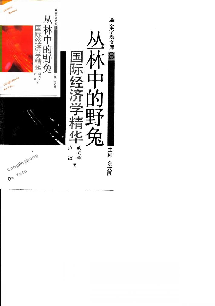 丛林中的野兔  国际经济学精华 封面