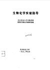 生物化学实验指导 封面