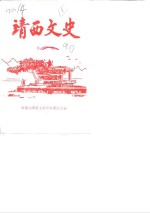 靖西文史资料  第3辑 封面