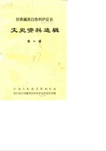 甘孜藏族自治州泸定县文史资料选辑  第2辑 封面