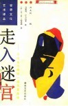 走入迷宫  当代文化的同一性与变异性 封面