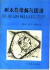 树木显微解剖图谱 封面