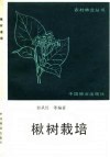 楸树栽培 封面