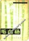 毛白杨 封面