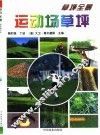 运动场草坪 封面
