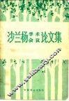 沙兰杨学术会议论文集 封面