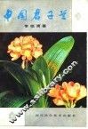 中国君子兰 封面