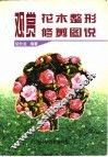 观赏花木整形修剪图说 封面