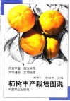 柿树丰产栽培图说 封面