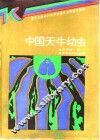 中国天牛幼虫 封面
