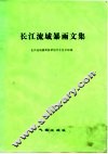 长江流域暴雨文集 封面
