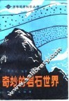 奇妙的岩石世界 封面