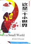 这是一个小世界 封面