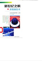 新世纪之帆  新能源技术 封面