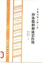 东濮凹陷下第三系  砂体微相和成岩作用 封面