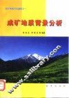 成矿地质背景分析 封面