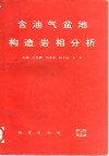 含油气盆地构造岩相分析 封面
